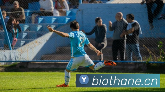 华体会手机网页版平台生态图